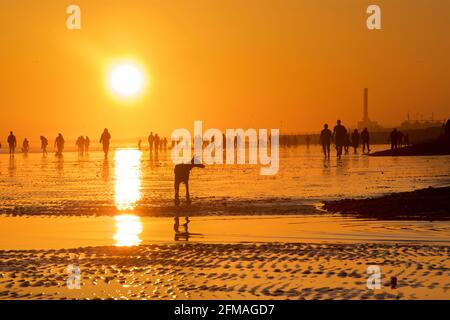 Brighton and Hove beach at low tide looking west. Silhouettes of people walking along the sandy shore at sunset. East Sussex, England. Dog by a pool of water. Stock Photo