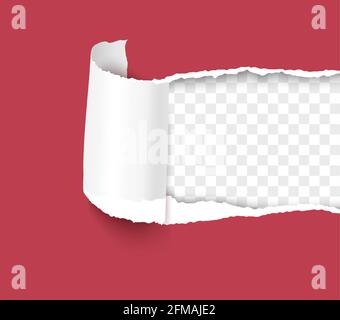 Torn paper. Ripped sheet with curl paper element isolated on transparent background realistic vector Stock Vector