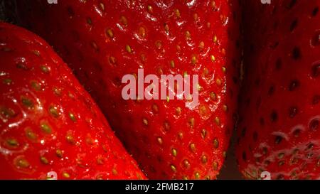 Extreme close up of three red ripe freshly washed organic strawberries Stock Photo