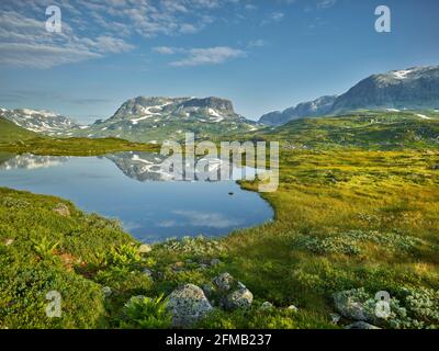 nameless lake, Verjesteinsnuten, Haukelifjell, Vestland, Norway Stock Photo