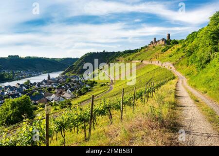 Germany, Rhineland-Palatinate, Alken (Mosel), view into the Moselle valley on the wine village of Alken with Thurant Castle and vineyards Stock Photo