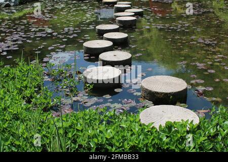 Circular stepping stone path in garden pond Stock Photo