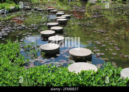 Circular stepping stone path in garden pond Stock Photo