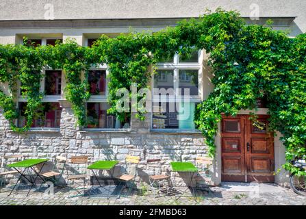 Atelier, wine bar, Rue, house facade, front door, window, old town, summer, Erfurt, Thuringia, Germany, Europe Stock Photo