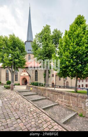 Evangelical town church, Gothic, church, house facade, summer, Schlitz, Vogelbergskreis, Hesssen, Germany, Europe Stock Photo