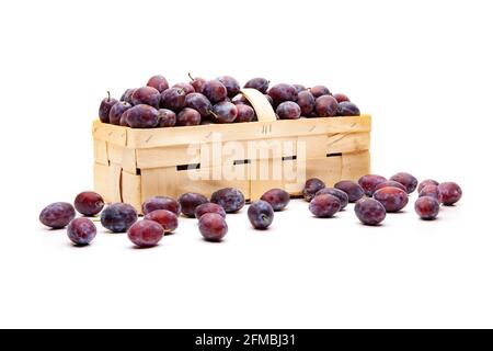 Plums in a chip basket Stock Photo