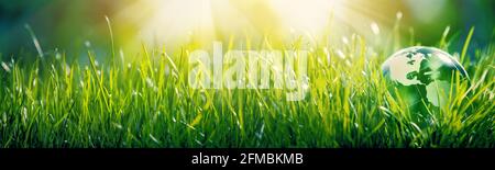 Glass globe in the grass concept for environment and conservation Stock Photo