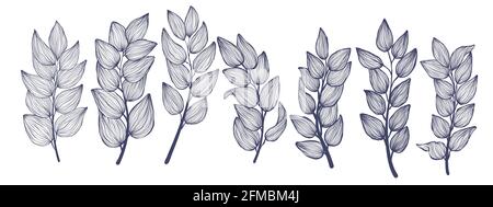 Bundle of tropical brunch with leaves in linear style. Exotic hand drawn leaf in trendy style collection. Minimalistic tropic leaves vector illustrati Stock Vector