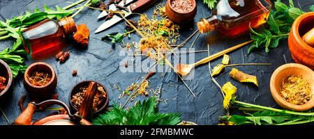 Healing herbs and medicinal plants.Traditional Chinese medicine,herbs.Herbal medicine,homeopathy Stock Photo