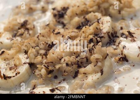 oat porridge with banana and chocolate in bowl  closeup selective focus Stock Photo