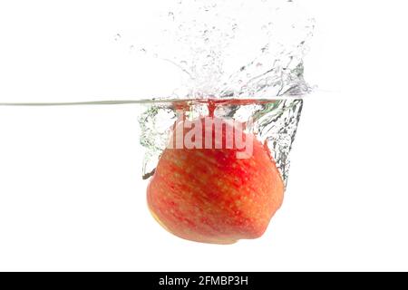 one juicy apple falls into the water with splashes on a white background, place under the text Stock Photo