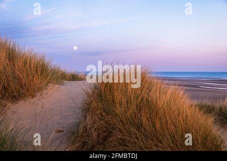 April full moon rising during sunset among the dunes of Camber Sands Rye East Sussex south east England Stock Photo