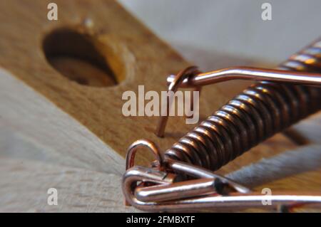 Detailaufnahme deine Mausefalle mit Feder. Stock Photo