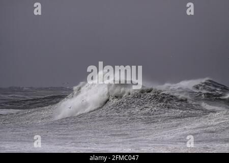 Huge stormy breaking sea wave against dark sky. Northern portuguese coast during winter. Stock Photo