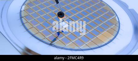Silicon wafer with microchips fixed in a holder with a steel frame after the dicing process and separate microchips. Silicon Stock Photo