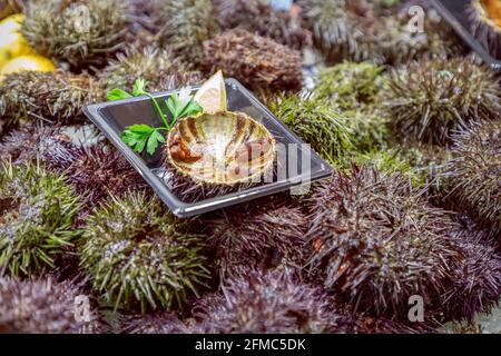 Fresh sea urchin caviar in half shells at the fish market (Selective focus) Stock Photo