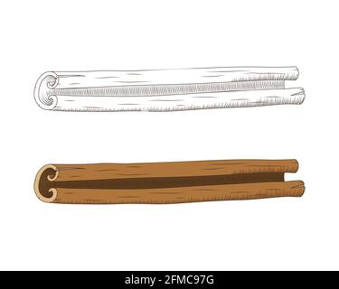 Hand Drawn Engraved style Cinnamon Sticks Vector Illustration Isolated on White Background. Sketch Style spice and flavour object. Seasonal food. Cooking and aromatherapy ingredient Stock Vector