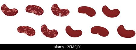Kidney red beans isolated on white. Vector flat legumes vegetable design illustration. Stock Vector