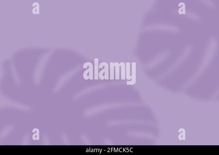 Front view, indoors horizontal shot. Stock Photo