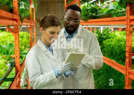 Smiling young interracial greenhouse engineers in lab coats and protective goggles using tablet while maintaining ambient environmental controls Stock Photo