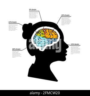 Woman brain potential, bright detailed infographic with text place on white Stock Vector