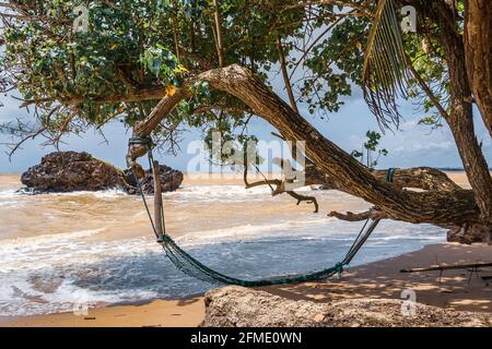 An abandoned hammock hung from a tree on an empty beach in Axim Ghana West Africa. Stock Photo