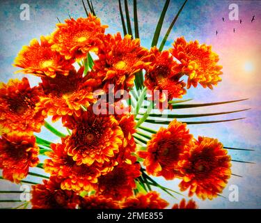 FORAL ART: Gerberas Stock Photo