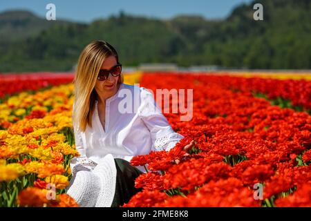 Well dressed middle aged woman wearing white straw hat, sitting between the rows of an amazing tulip plantation, showing love and enjoying the view of Stock Photo