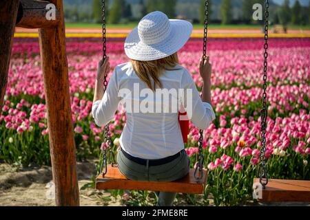 Well dressed middle aged woman wearing white straw hat, sitting in a swing in front of the rows of an amazing tulip plantation and enjoying the view o Stock Photo
