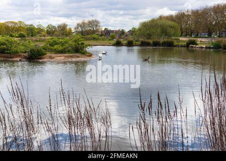 Jubilee Pond, lake, Wanstead Flats, Forest Gate, London, uk Stock Photo