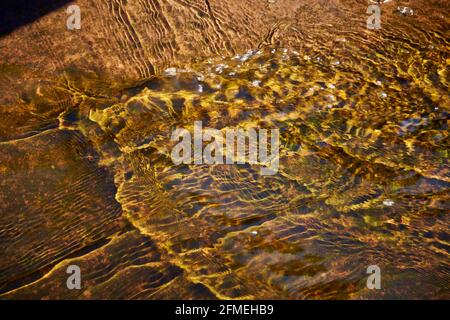 Early morning light refracting through shallow clear water in mountain stream. Stock Photo