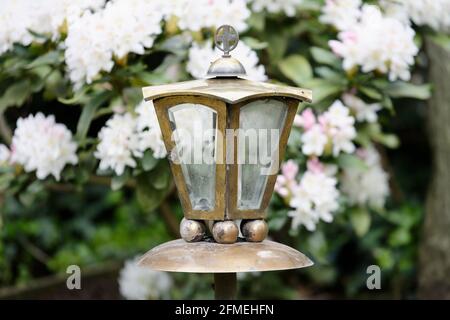 old fashioned metal grave lantern on a grave in front of flowering white spring plants Stock Photo