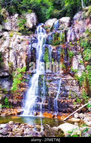 Scenic Minnamurra waterfall in National park of australia - lush rainforest. Stock Photo