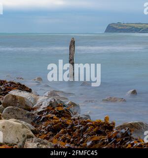 Kimmeridge Bay fossil hunting, Dorset, UK Stock Photo