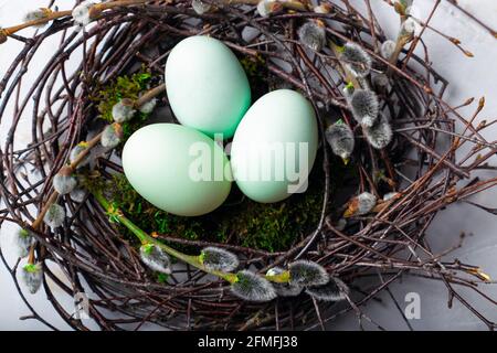 Easter eggs in natural nest with moss and willow twigs on white concrete background. Top view. Stock Photo