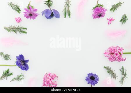 Floral frame with pink and blue flowers and feathers on white. Flat lay, top view. Stock Photo