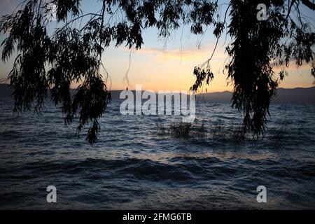 Sunset over the Sea of Galilee seen through branches of Eucalyptus Trees, behind the lake is the Lower Galilee, clouds are in the dramatic sky above. Stock Photo