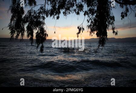 Sunset over the Sea of Galilee seen through branches of Eucalyptus Trees, behind the lake is the Lower Galilee, clouds are in the dramatic sky above. Stock Photo