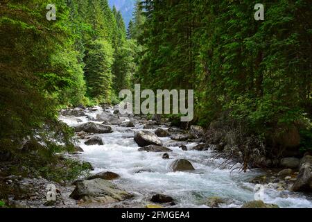 Landscape in the High Tatras. The river Biela voda in the canyon Bielovodska dolina near the border between Poland and Slovakia. Stock Photo