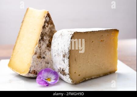 Cheese collection, Tomme de Savoie cheese from Savoy region in French Alps,  mild cow's milk cheese with beige interior and thick brownish-grey rind c Stock Photo