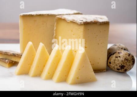 Cheese collection, Tomme de Savoie cheese from Savoy region in French Alps,  mild cow's milk cheese with beige interior and thick brownish-grey rind c Stock Photo