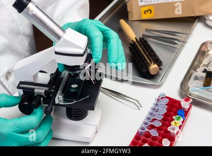 police scientist examines victim's hair under microscope in crime lab, conceptual image Stock Photo