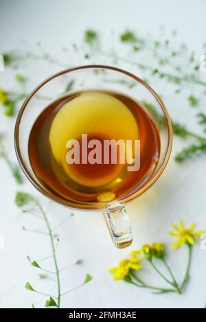 Green tea in a glass cup on white. Herbs and flowers around a mug with a healthy drink. Stock Photo
