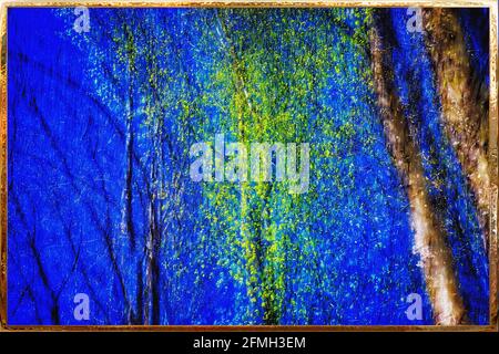CORPORATE PHOTOGRAPHIC ART: First Signs of Spring  (HDR/ICM Photography) Stock Photo