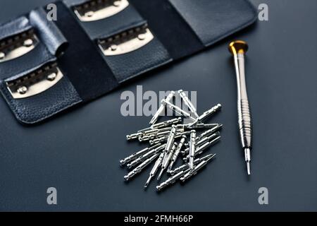 Screwdriver and set of replaceable bits, closeup Stock Photo