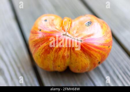Macro closeup of one big large ripe heirloom red striped pink jazz tomato in garden harvested on deck wooden floor Stock Photo