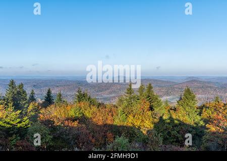 Panorama of Appalachian Allegheny mountains valley in West Virginia from Spruce Knob peak with sunrise on trees in autumn fall season and horizon view Stock Photo