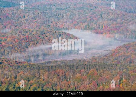 High angle closeup view of Appalachian Allegheny mountains valley in West Virginia from Spruce Knob peak with fog on red maple trees in autumn fall se Stock Photo