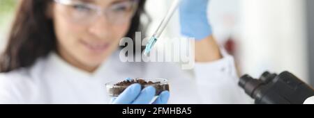 Female scientist dripping liquid from pipette into petri dish with soil Stock Photo