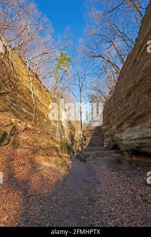 Sun and Shade in a Sandstone Canyon in Matthiessen State Park in Illinois Stock Photo